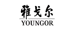 雅戈尔
